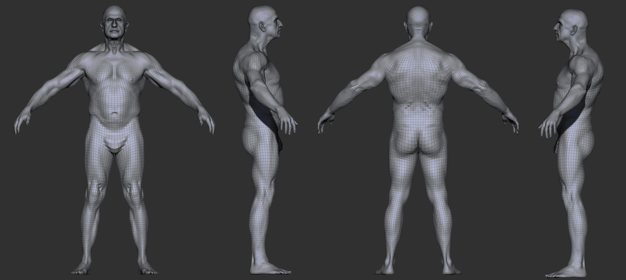 Aged Muscular Male ZBrush Shaders Wireframes